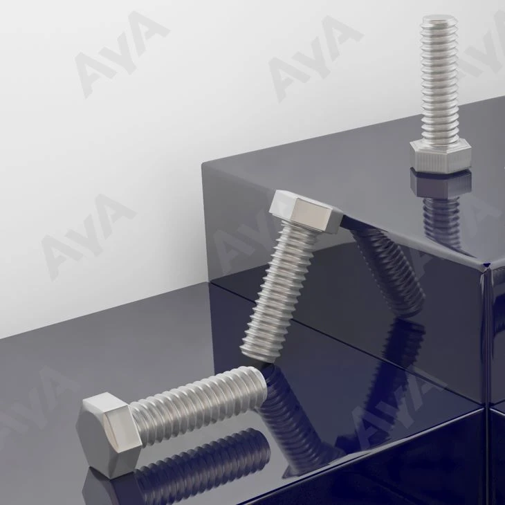 I-Stainess yentsimbi hexagon bolts